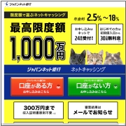 ジャパンネット銀行 ネットキャッシング